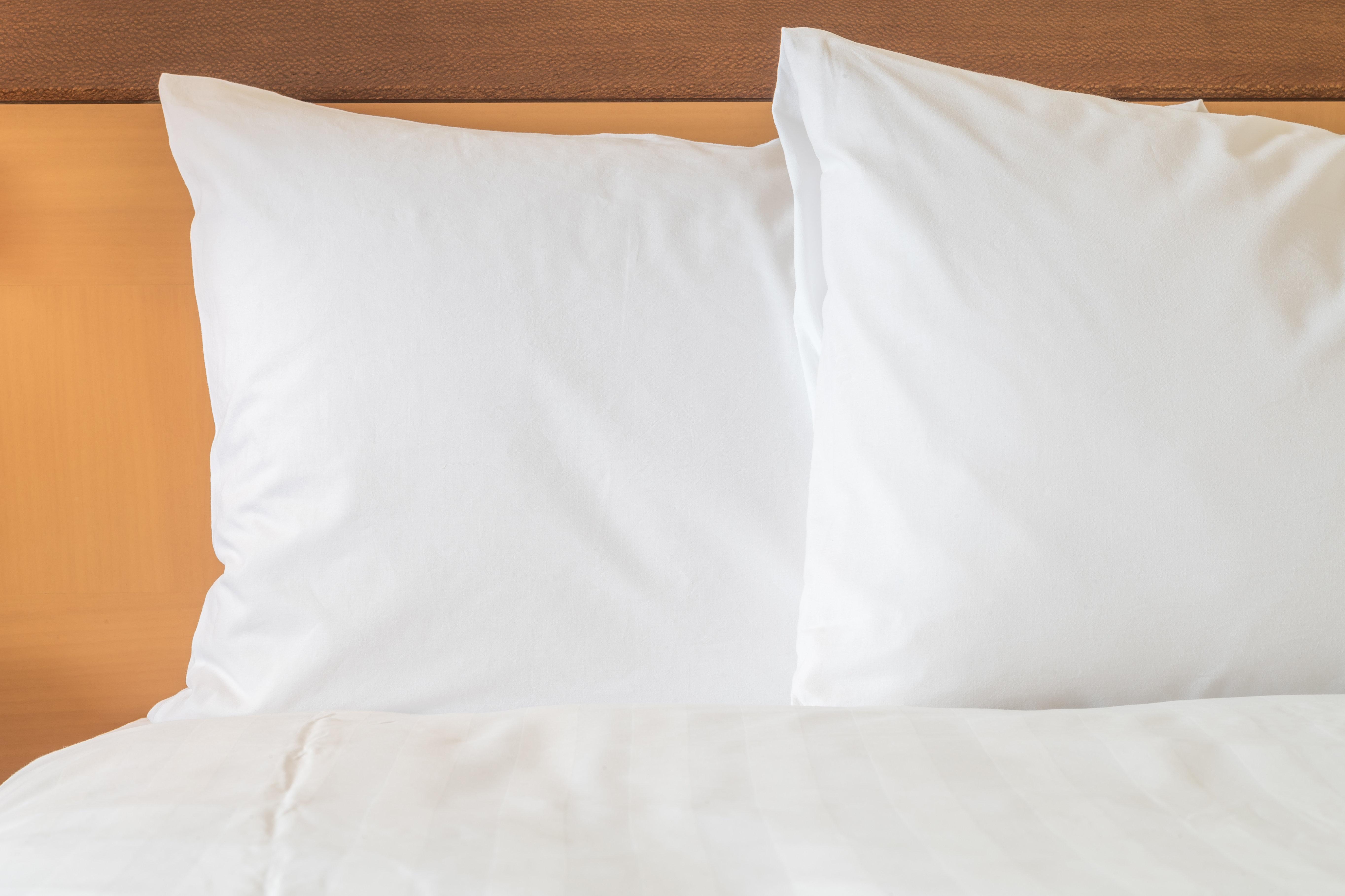 Holiday Inn Express Tampa-Brandon By Ihg מראה חיצוני תמונה